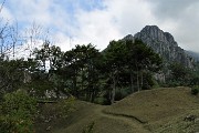 58 Prati ben rasati al Passo Barbata con vista in creste Alben